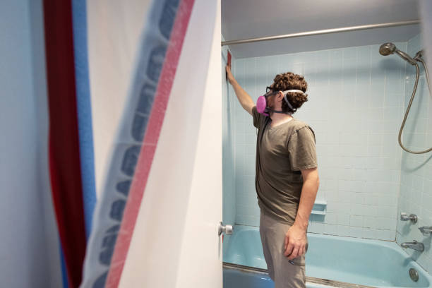 Trusted Greenville, AL Mold Removal Experts