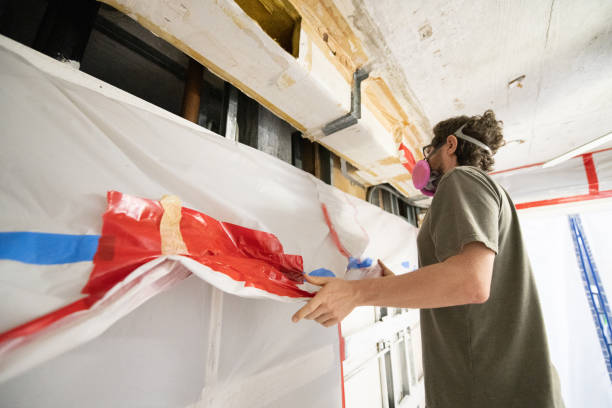  Greenville, AL Mold Removal Pros