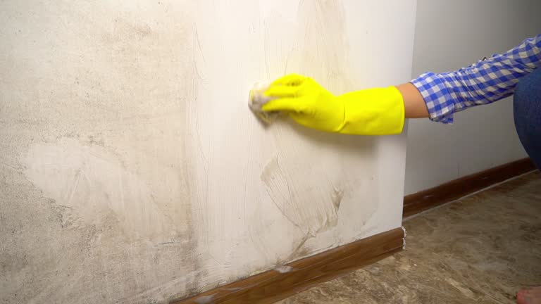 Best Mold Odor Removal Services  in Greenville, AL